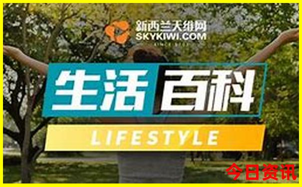 香港正版资料大全免费网站